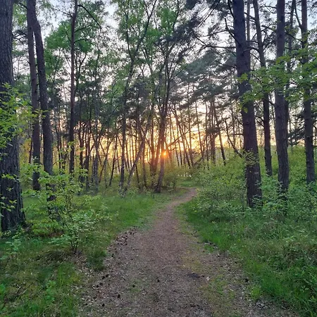 شقة La Casa De Kasa 1 *