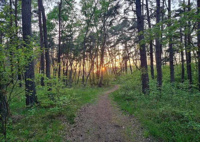 Apartmán La Casa De Kasa 1 *